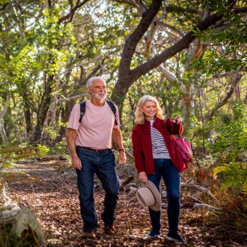 Lifestyle Forest & Hiking Activity for Over 50s